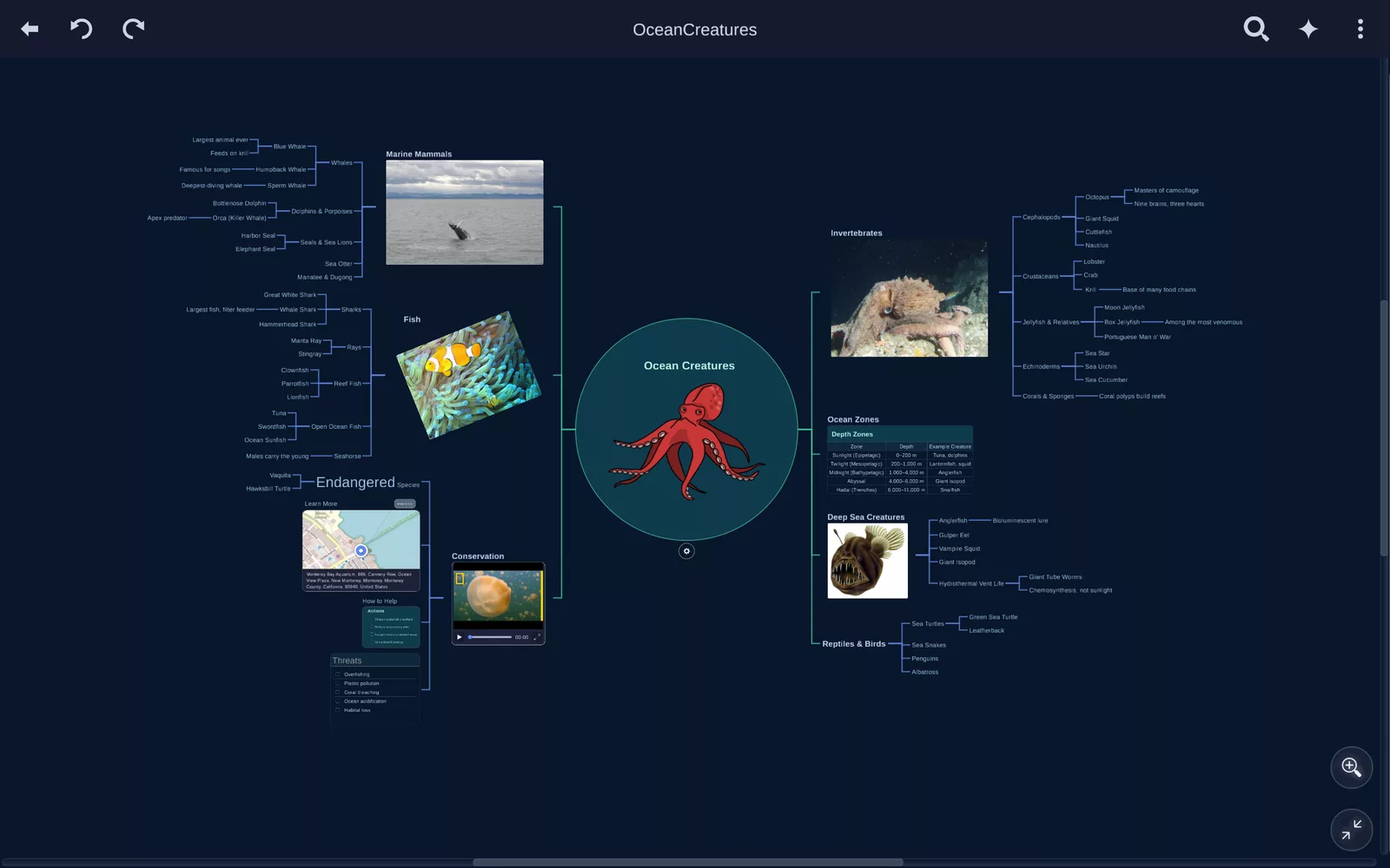 A miMind mind map about ocean creatures with photos, a jellyfish video, a live map location, a threats checklist and a depth-zones table on its branches